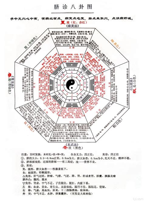 八卦แปล